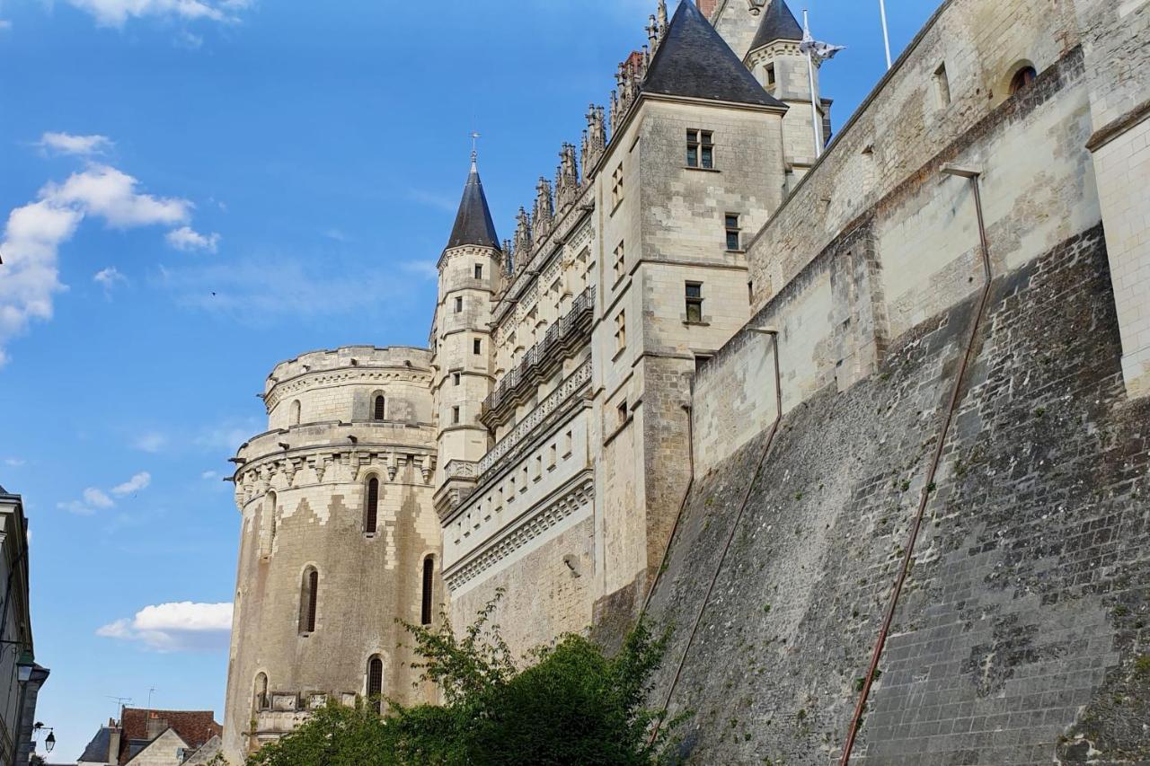 Splendid Apartment At The Foot Of The Castle Of Amboise - View Of The Loir Exteriér fotografie
