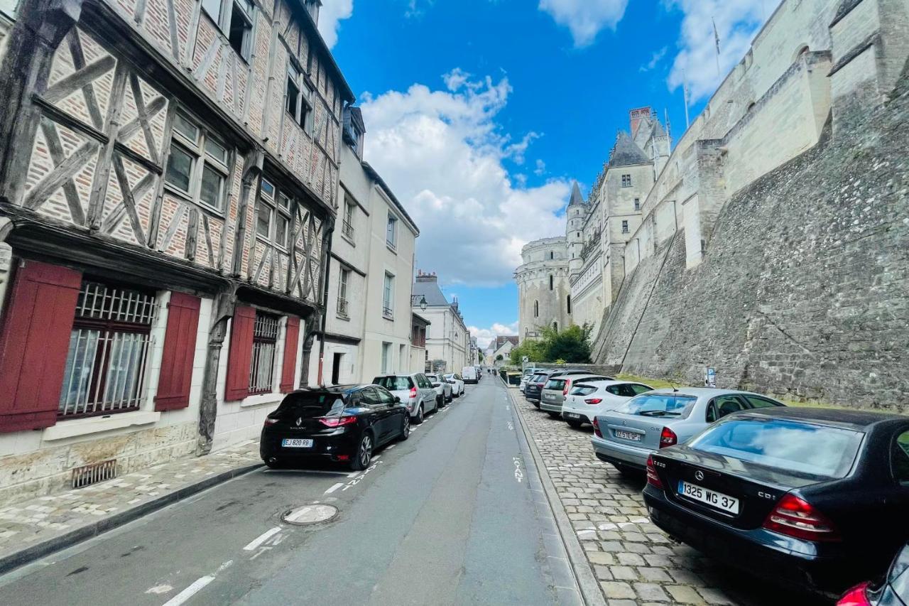 Splendid Apartment At The Foot Of The Castle Of Amboise - View Of The Loir Exteriér fotografie