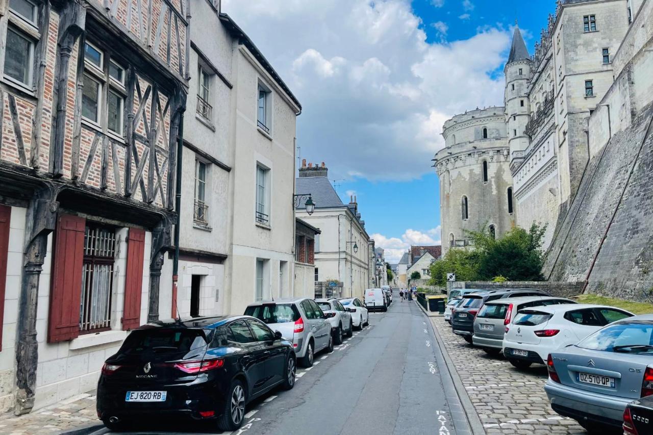 Splendid Apartment At The Foot Of The Castle Of Amboise - View Of The Loir Exteriér fotografie